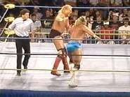 WrestleWar 1991.00029.jpg (24 KB)