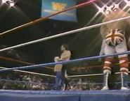 1.16.88 WWF Superstars.00014.jpg (79 KB)