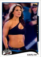 2014 WWE (Topps) Kaitlyn (No.78)