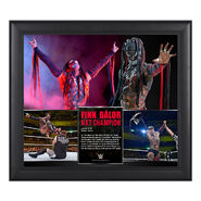 Finn Bálor NXT Championship Victory 15 x 17 Framed Photo Collage