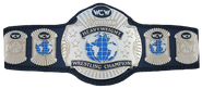 WCW World Heavywight 1991