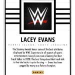  2017 Topps Women's Division Roster Wrestling #R-50 Torrie  Wilson WWE Legend Official World Wrestling Entertainment Trading Card :  Everything Else