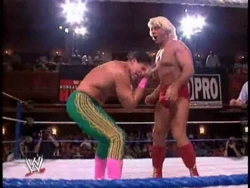 January 18 1993 Monday Night Raw Results Pro Wrestling Fandom