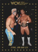 1991 WCW Collectible Trading Cards (Championship Marketing) Sting, Jim and Lex (No.53)