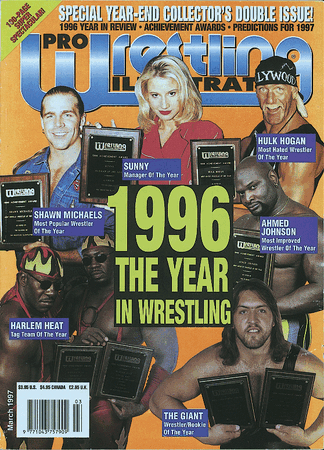 Pro wrestling illustrated shop