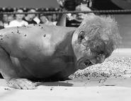 SummerSlam 2006.21.jpg (33 KB)