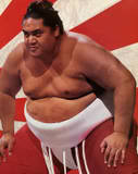 Yokozuna3