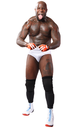 Moose RoH2