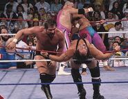 Royal Rumble 1990.8