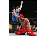 Royal Rumble 2006.17.jpg (34 KB)