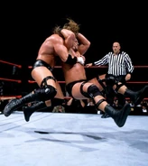 SummerSlam 1999 photo 023.jpeg (63 KB)