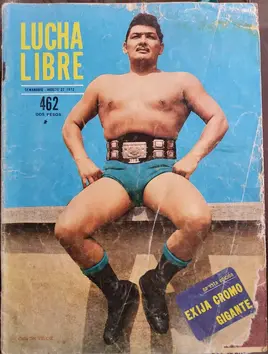 Lucha Libre 462