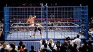 Steel Cage Images.8