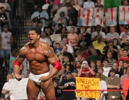 The Great American Bash 2006.26.jpg (36 KB)