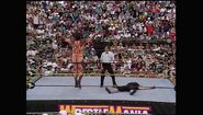 WrestleMania IX.00041