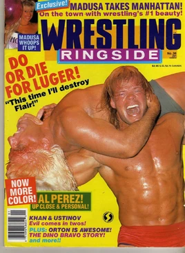 Wrestling Ringside - January 1989
