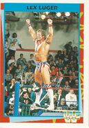 1995 WWF Wrestling Trading Cards (Merlin) no.75