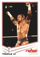 2013 WWE (Topps) Triple H 41