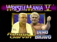 Ronnie Garvin v Dino Bravo