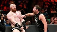 8-28-17 Raw 25.jpg (82 KB)