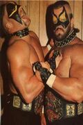 AWA World Tag Team Champions