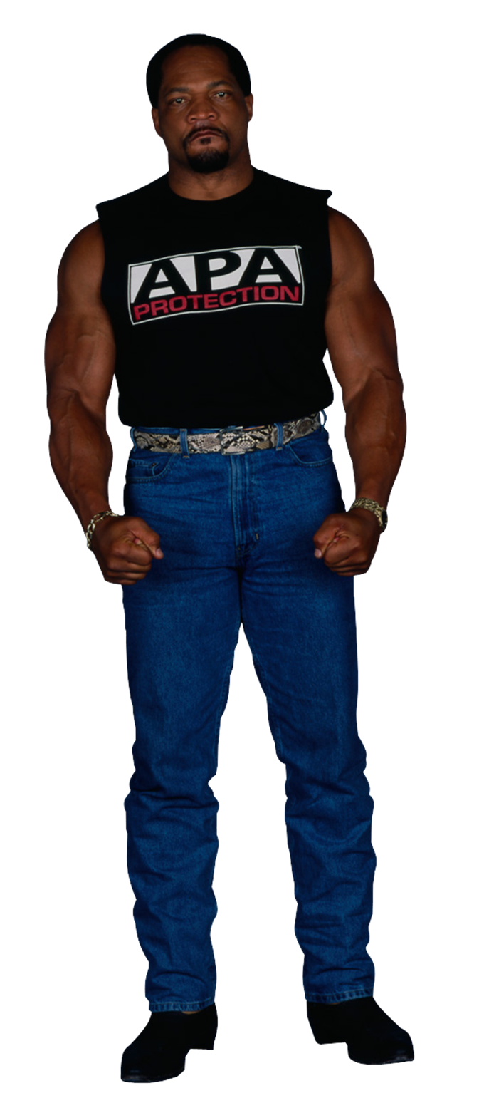 Ron Harris, Pro Wrestling