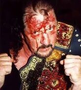 Terry Funk 9