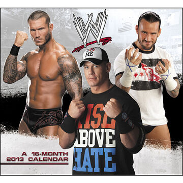 Wwe 2013 new arrivals