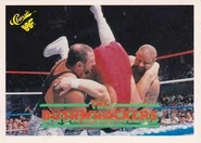 1990 Classic WWF The Bushwhackers (No.47)
