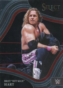 Pro Wrestler Bret 'Hitman' Hart Discusses His Retail Foray and Personal  Branding: Interview