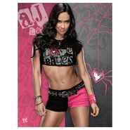 AJ Lee Poster