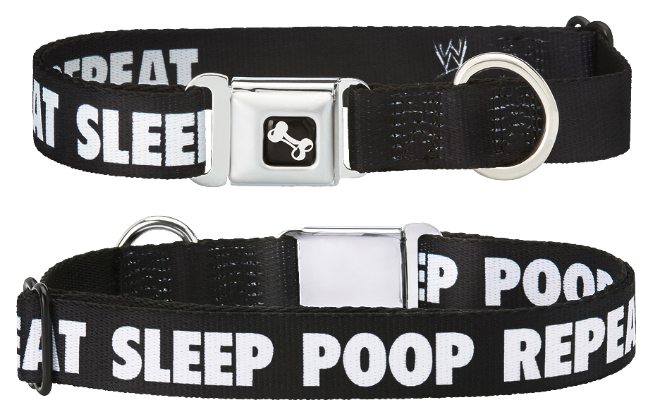 Wwe dog collar best sale