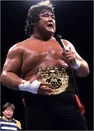 Shinya Hashimoto 16th Champion (May 1, 1994 - May 3, 1995)