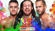 Cameron Grimes vs. A-Kid vs. Roderick Strong in an NXT North American Championship Ladder match