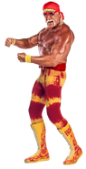 Hulkhogan 3 full