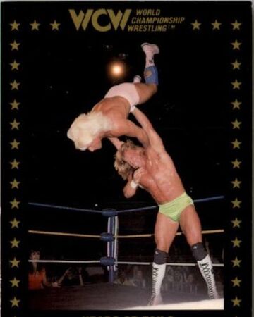 1991 Collectible Trading Cards Heads or Tails (No.91) | Pro Wrestling | Fandom
