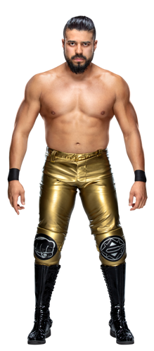 Andrade Stat3