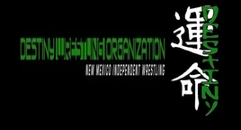 Destiny Wrestling Organization