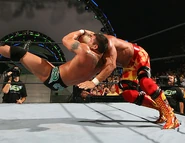 SummerSlam 2006.12.jpg (44 KB)