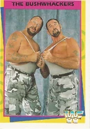 The Bushwhackers