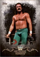 2016 Topps WWE Undisputed Wrestling Cards Jake Roberts (No.62)