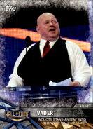 2017 WWE Road to WrestleMania Trading Cards (Topps) Vader (No.48)