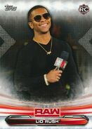 2019 WWE Raw Wrestling Cards (Topps) Lio Rush (No.46)