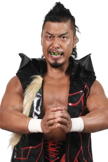 Shingo Takagi Pro Wrestling Fandom