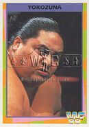 1995 WWF Wrestling Trading Cards (Merlin) Yokozuna (No.107)