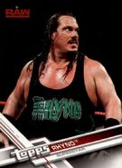 2017 WWE (Topps) Then, Now, Forever Rhyno 132