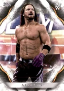 2019 Topps WWE Undisputed Wrestling Cards AJ Styles (No.2)
