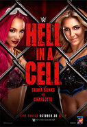 Hell in a cell poster 2016
