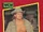 1991 WCW (Impel) Southern Boys (No.133)