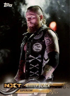 2018 WWE Wrestling Cards (Topps) Aleister Black 5